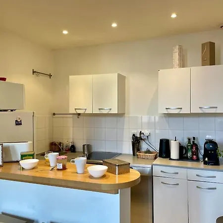 Apartamento Petit Cine Croix-roussien *